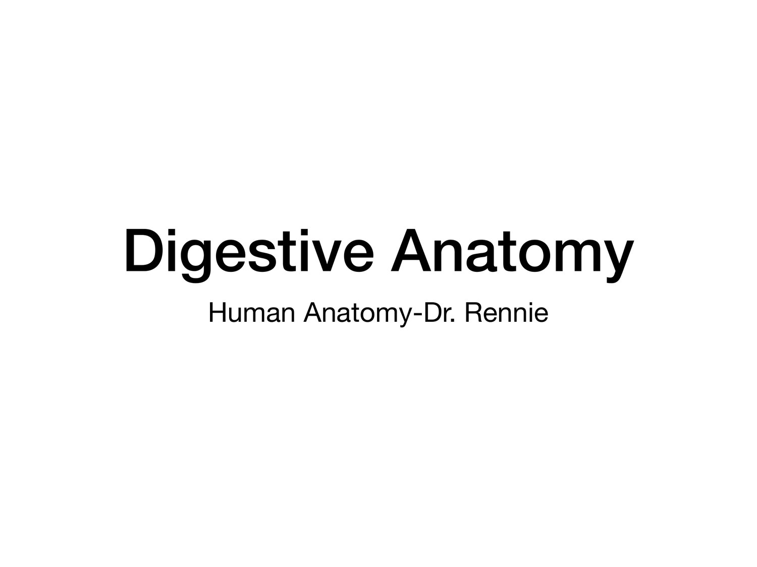 Slide 1 of 97: Digestive Anatomy. Dr. Rennie digestive anatomy lecture slide.