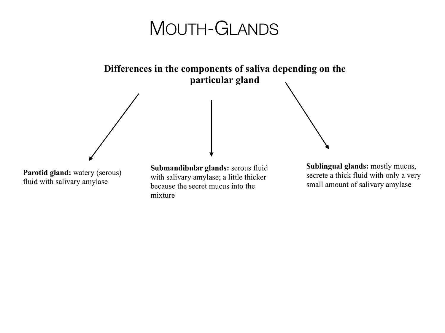 Slide 42 of 97: Mouth-glands. Dr. Rennie digestive anatomy lecture slide.
