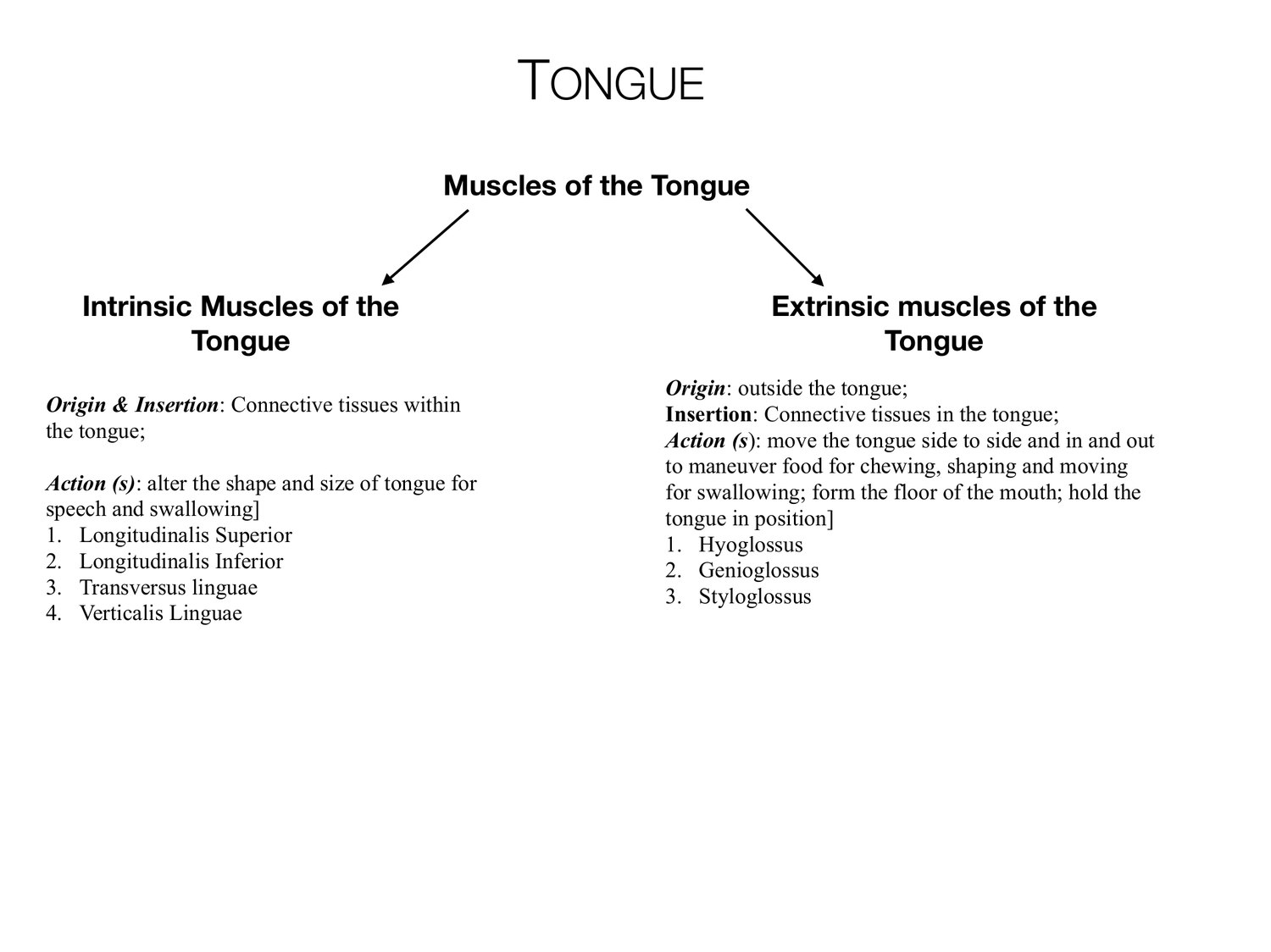 Slide 46 of 97: Tongue. Dr. Rennie digestive anatomy lecture slide.
