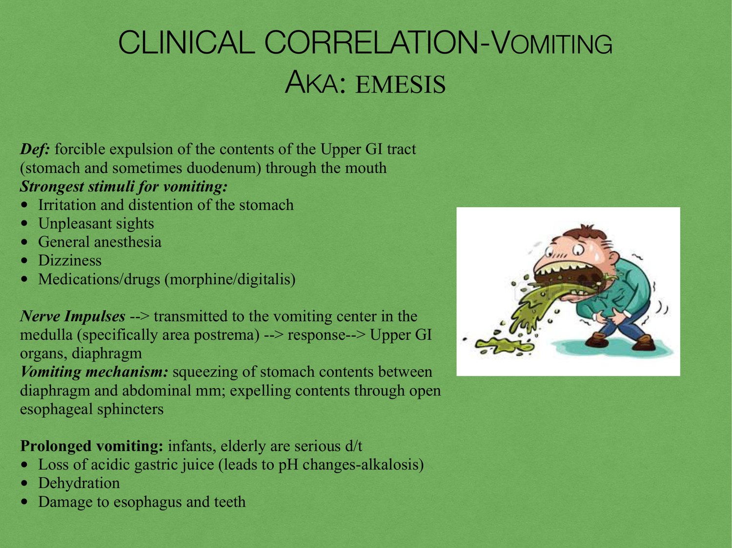 Slide 61 of 97: Clinical correlation-vomiting. Dr. Rennie digestive anatomy lecture slide.