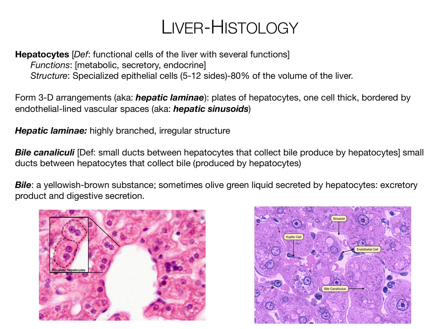 Slide 71 of 97: Liver-histology. Dr. Rennie digestive anatomy lecture slide.