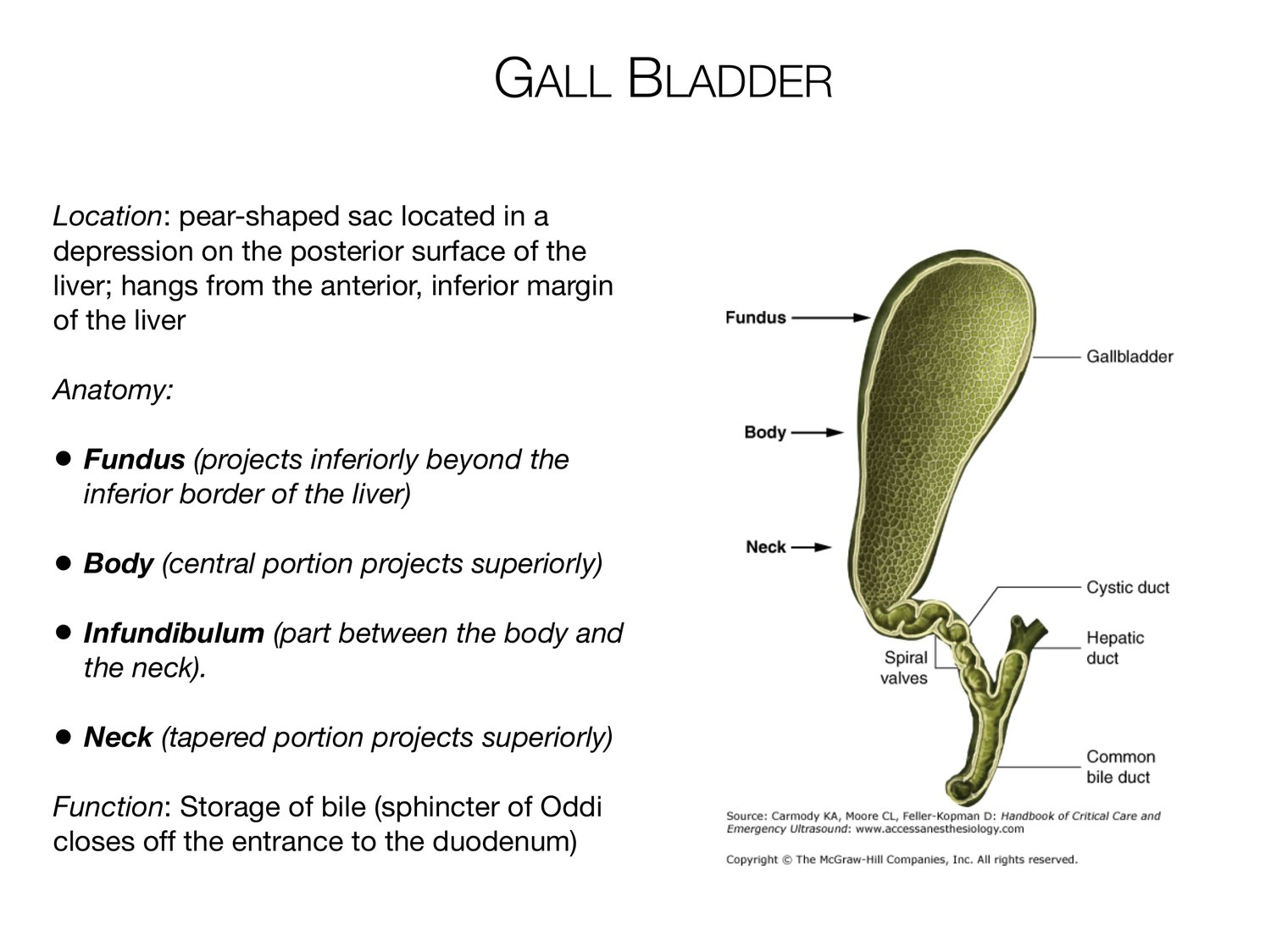 Slide 78 of 97: Gall bladder. Dr. Rennie digestive anatomy lecture slide.