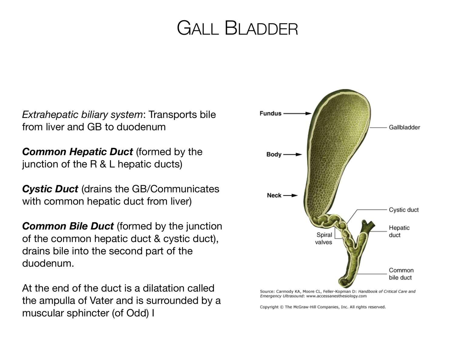 Slide 79 of 97: Gall bladder. Dr. Rennie digestive anatomy lecture slide.