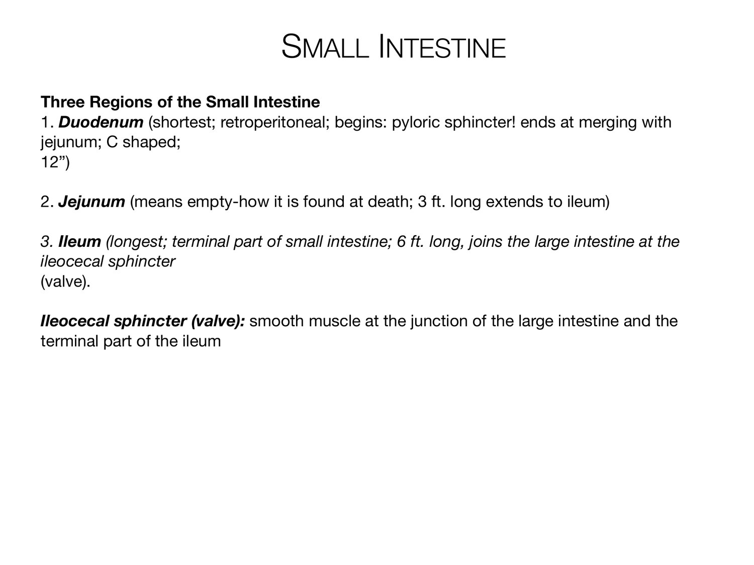 Slide 80 of 97: Small intestine. Dr. Rennie digestive anatomy lecture slide.