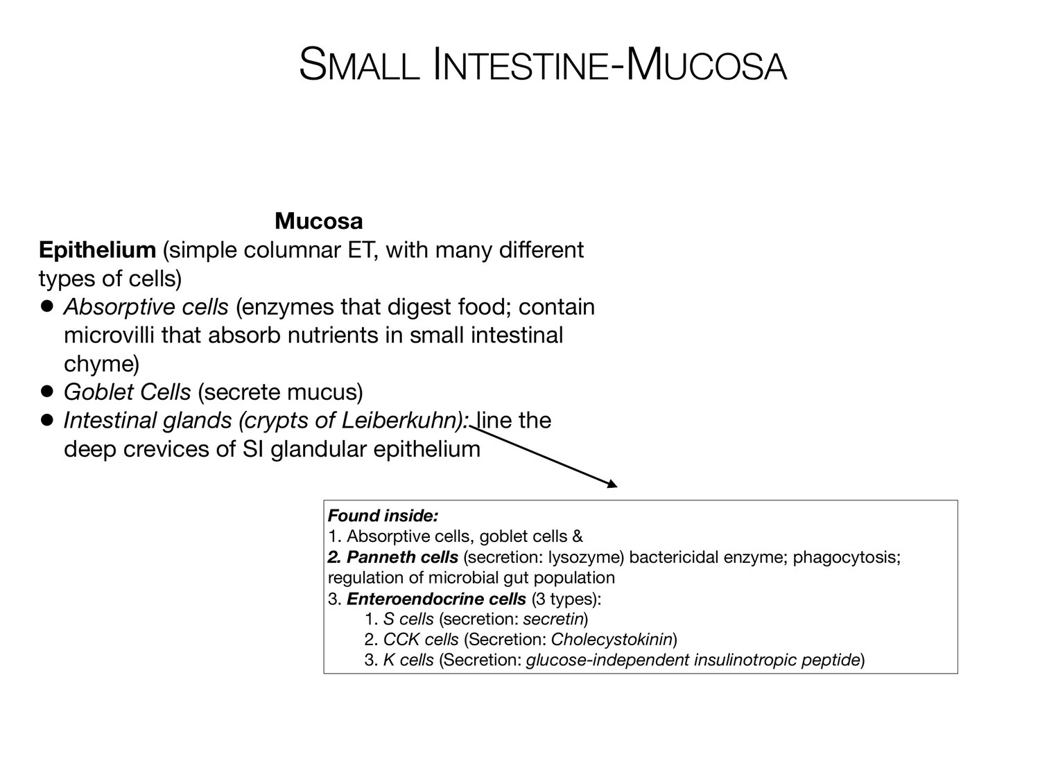 Slide 82 of 97: Small intestine-mucosa. Dr. Rennie digestive anatomy lecture slide.