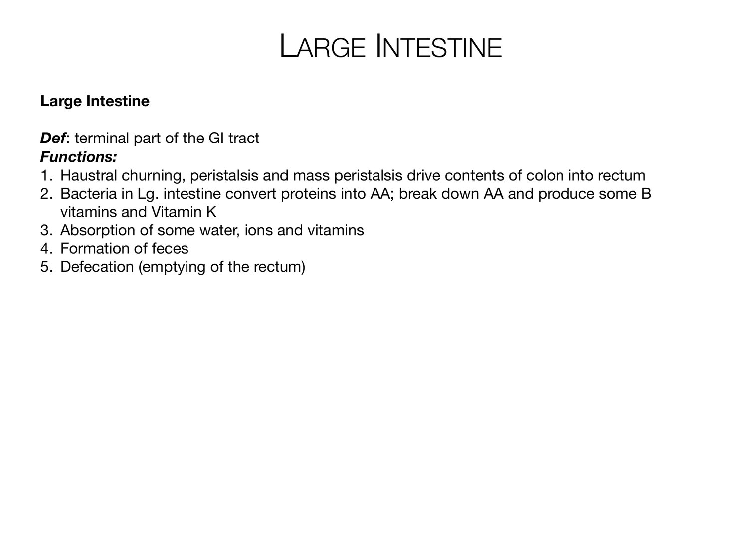 Slide 89 of 97: Large intestine. Dr. Rennie digestive anatomy lecture slide.